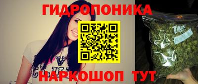 прущие грибы Изобильный