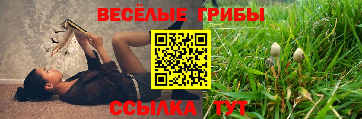 Майский  Галлюциногенные грибы Psilocybine cubensis  Вход с VPN 